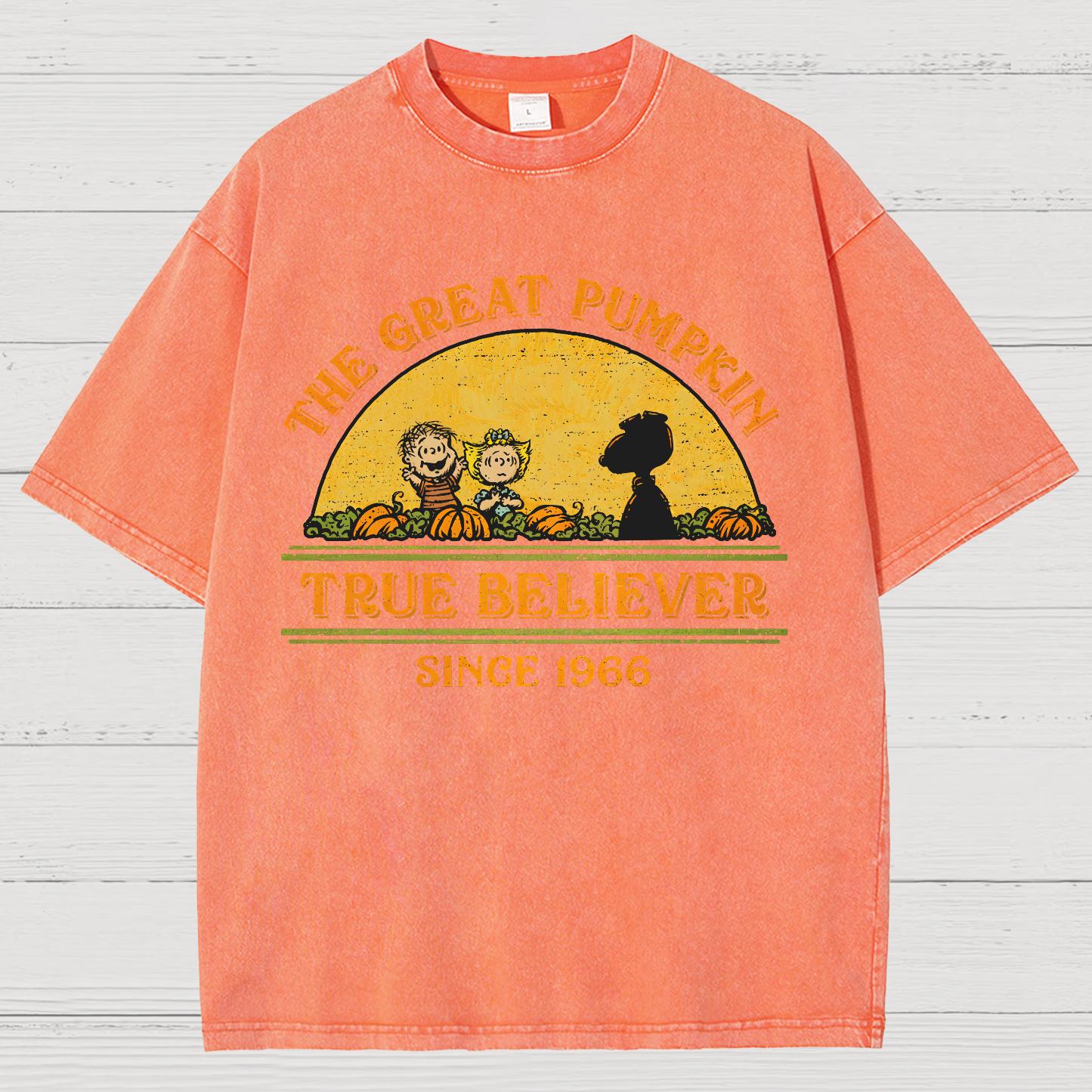 True Believer Since 1966 .Vintage Distressed T-shirt