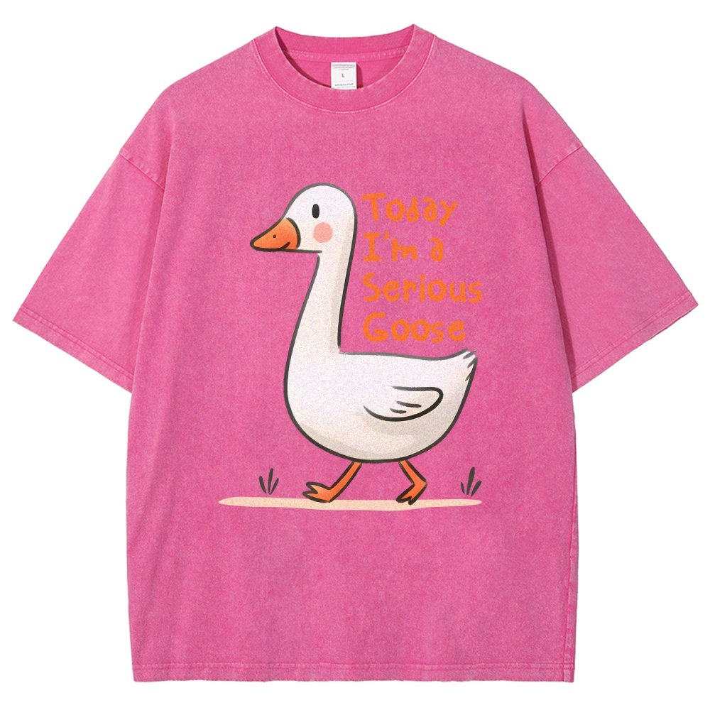 Today I’m A Serious Goose Vintage Distressed T-shirt