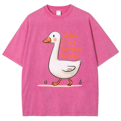 Today I’m A Serious Goose Vintage Distressed T-shirt