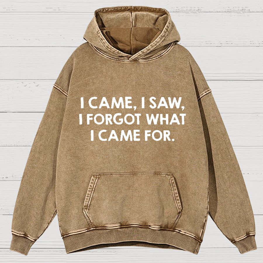 I Came and Saw Funny  Vintage Distressed Hoodie