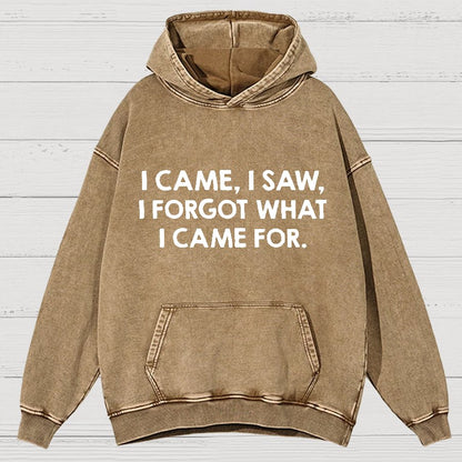 I Came and Saw Funny  Vintage Distressed Hoodie