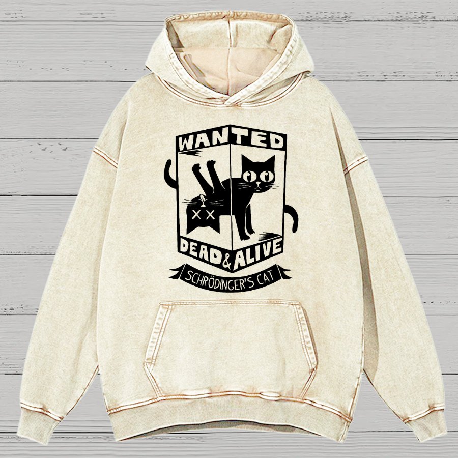 Schrödinger's Cat Mathe, Physics Vintage Distressed Hoodie
