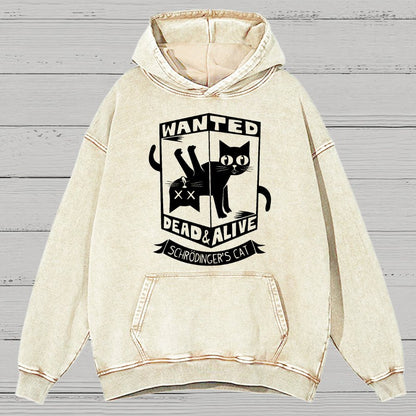Schrödinger's Cat Mathe, Physics Vintage Distressed Hoodie