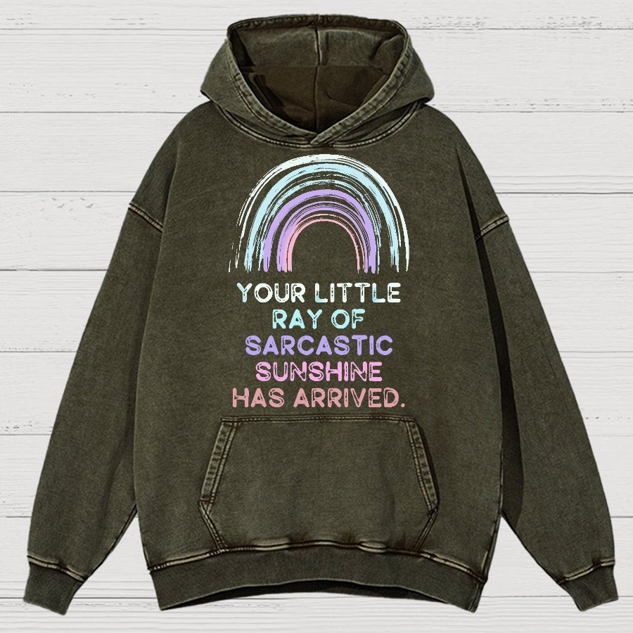 Your Little Ray of Sarcastic Sunshine Has Arrived Vintage Distressed Hoodie
