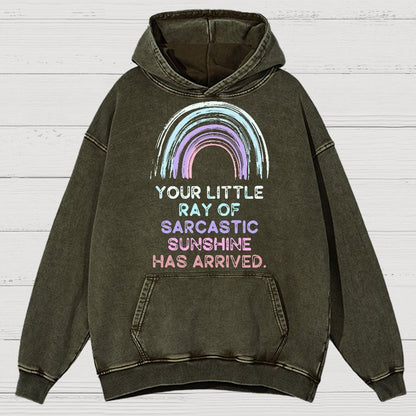 Your Little Ray of Sarcastic Sunshine Has Arrived Vintage Distressed Hoodie