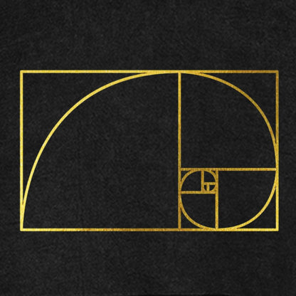 Distressed Fibonacci Spiral Geek Graphic Vintage Distressed Hoodie