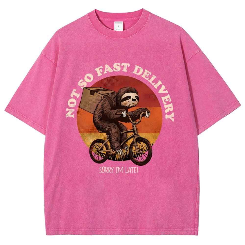 Not So Express Delivery Vintage Distressed T-shirt