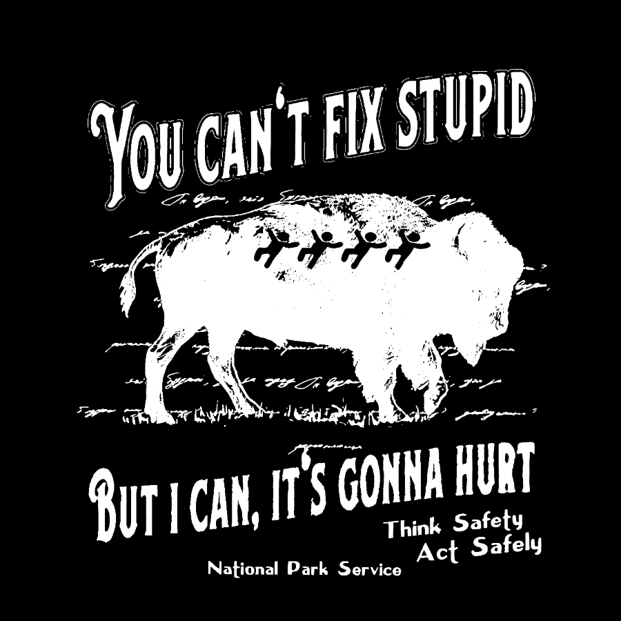 You Cant Fix Stupid Geek T-Shirt