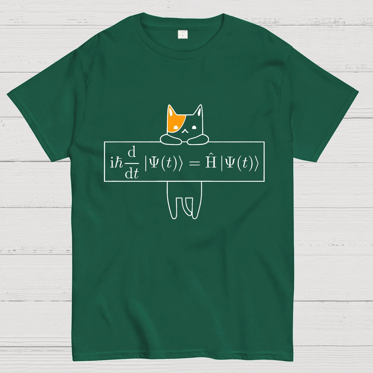 Schrödinger equation Geeky T-Shirt