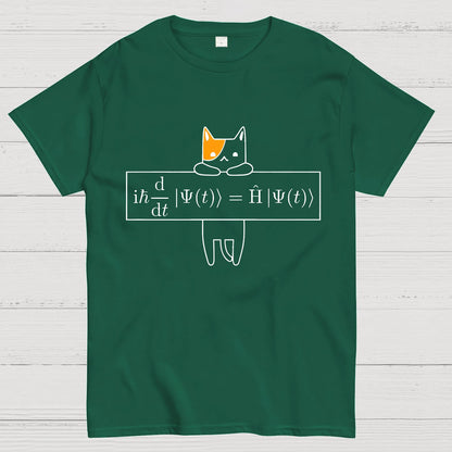 Schrödinger equation Geeky T-Shirt