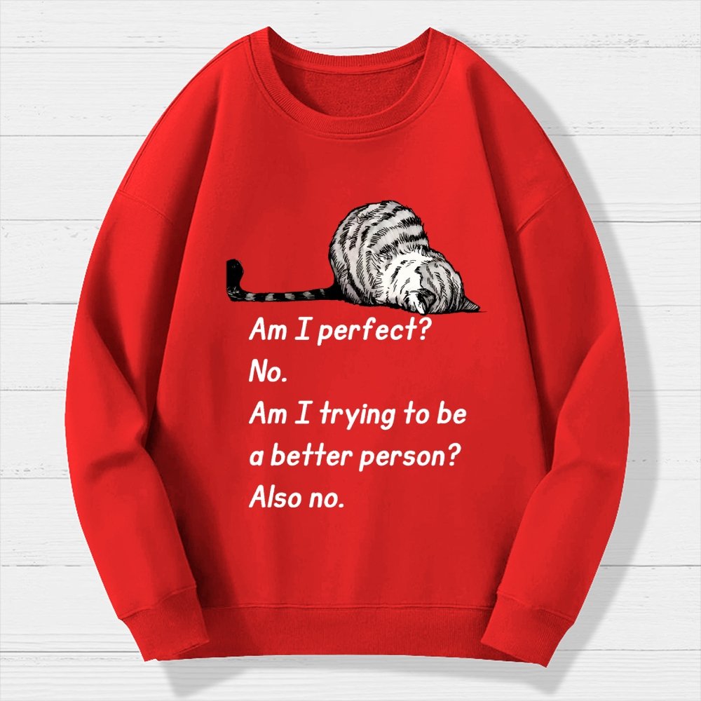 Am I Perfect No Geek Cotton Sweatshirt