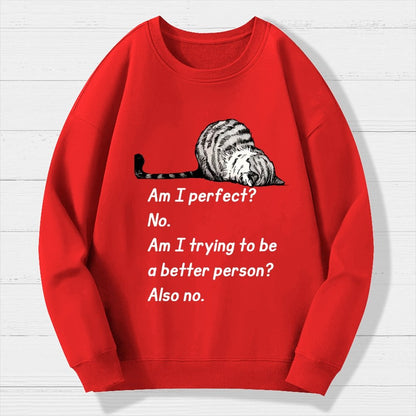 Am I Perfect No Geek Cotton Sweatshirt