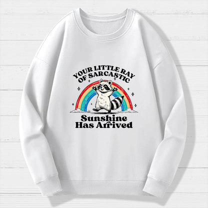 Your Little Ray of Sarcastic Sunshine Has Arrived Geek Cotton Sweatshirt