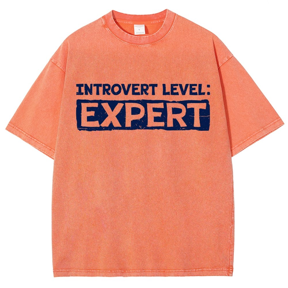 Introvert Level:Expert Vintage Distressed T-shirt