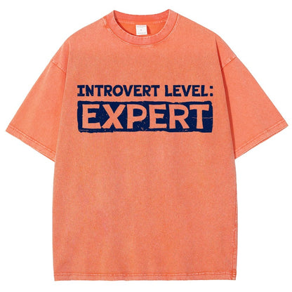 Introvert Level:Expert Vintage Distressed T-shirt