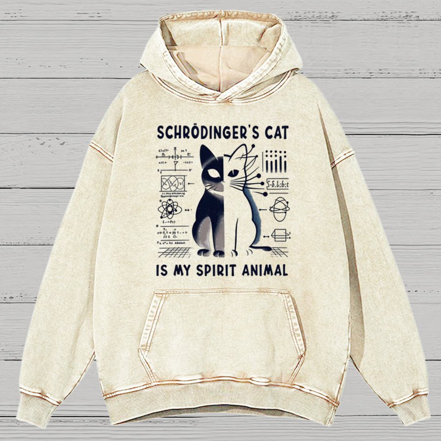 Schrodinger's Сat Science Cotton Vintage Distressed Hoodie
