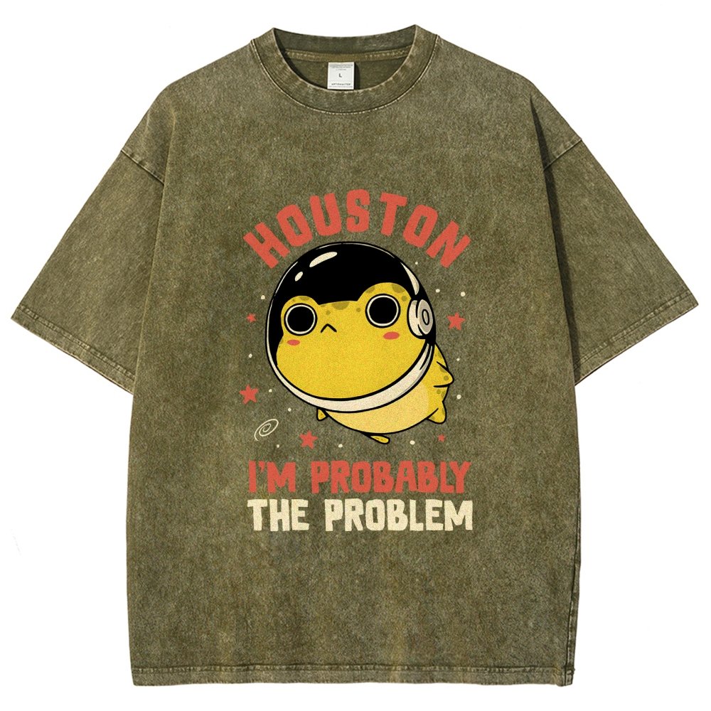 Houston Im Probably The Problem Vintage Distressed T-shirt