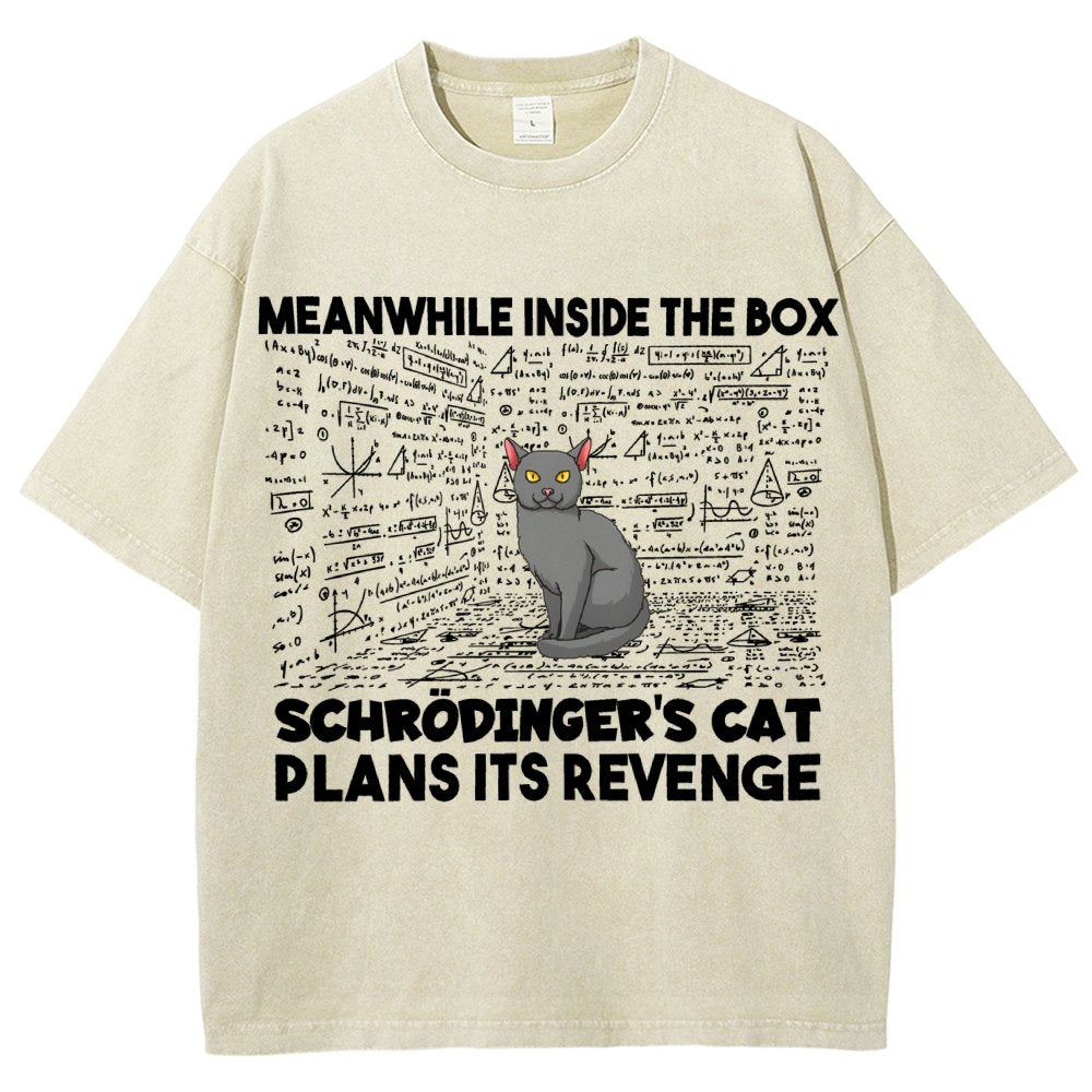 Inside The Box Schrödingers Cat Plans Its Revenge Vintage Distressed T-shirt