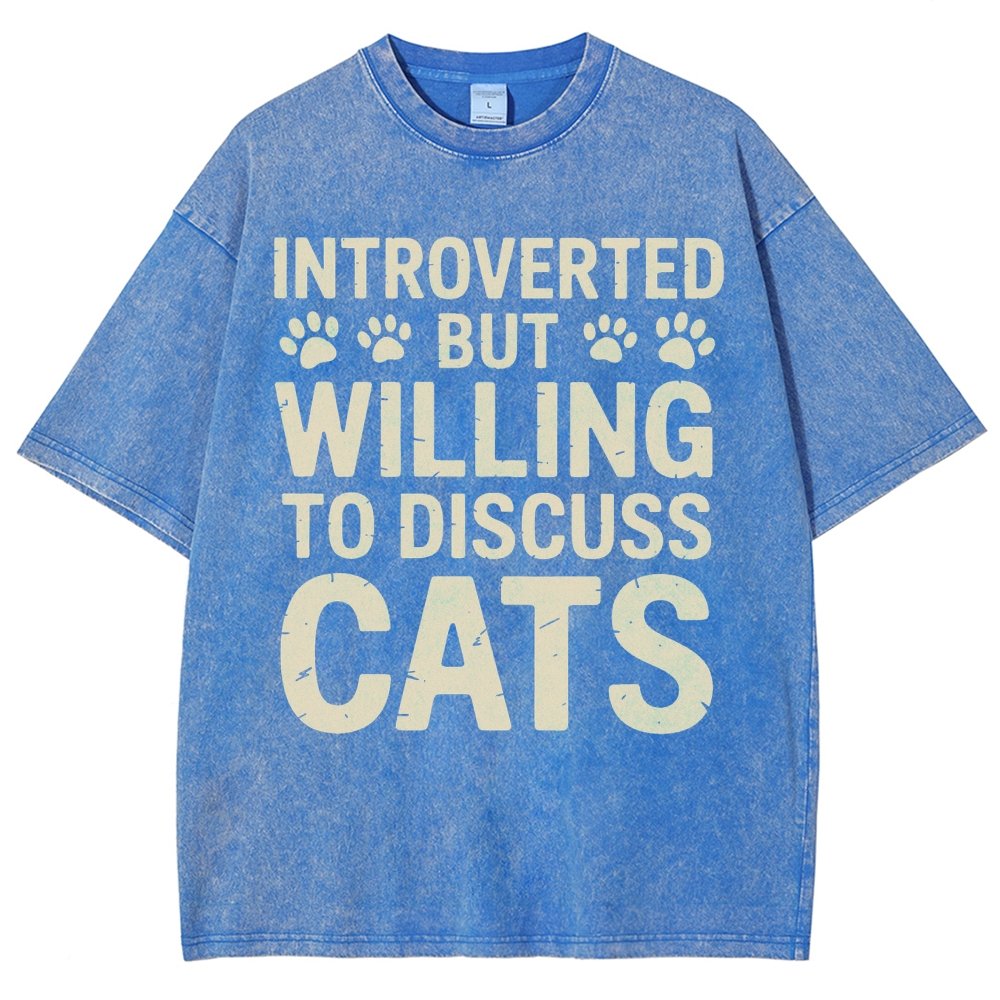 Introverted Vintage Distressed T-shirt