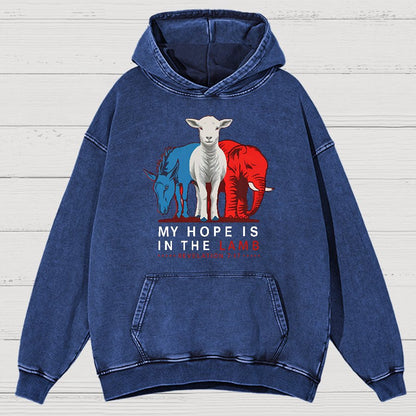 My Hope Is In The Lamb Vintage Distressed Hoodie