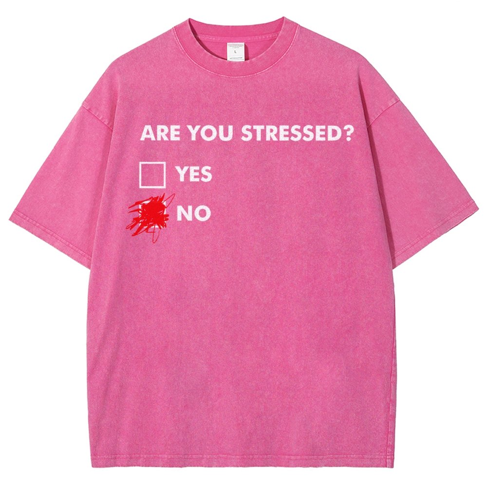 Fuuny Word Are You Stressed No Vintage Distressed T-shirt