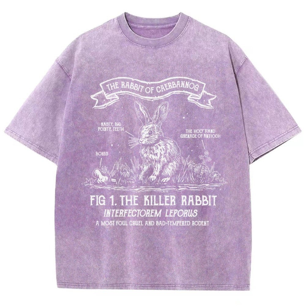 The Rabbit of Mysterious Place Vintage Distressed T-shirt