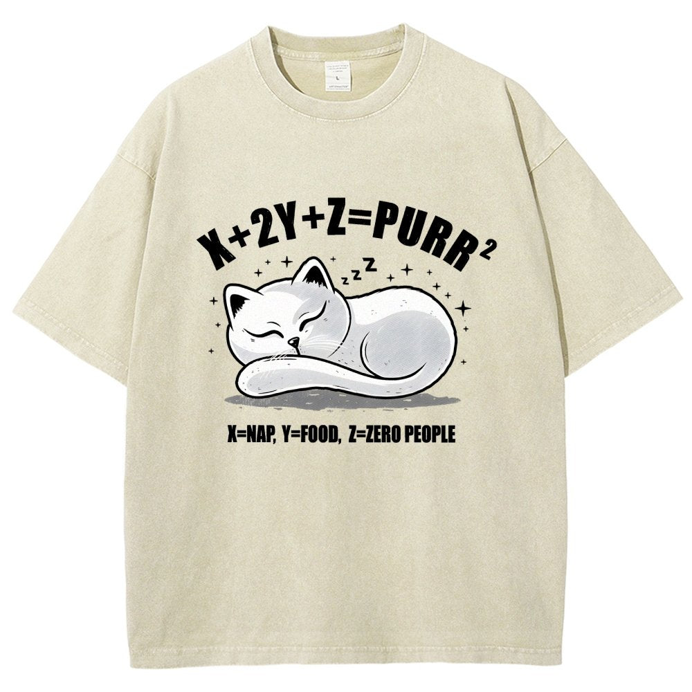 Purrfect Equation Vintage Distressed T-shirt