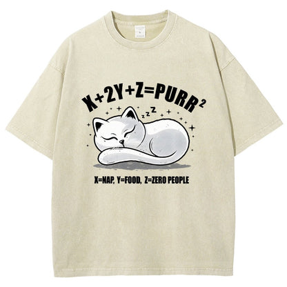 Purrfect Equation Vintage Distressed T-shirt