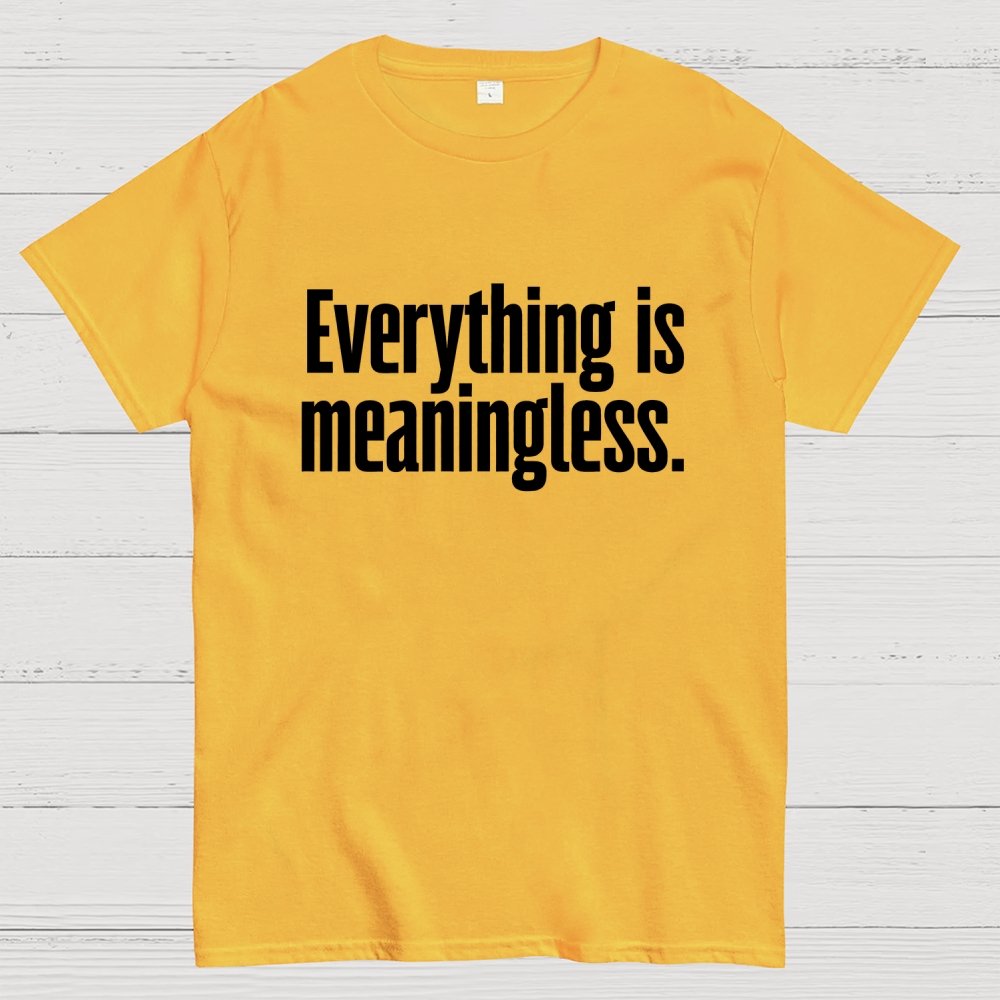 Everything is meaningless. Geek T-Shirt