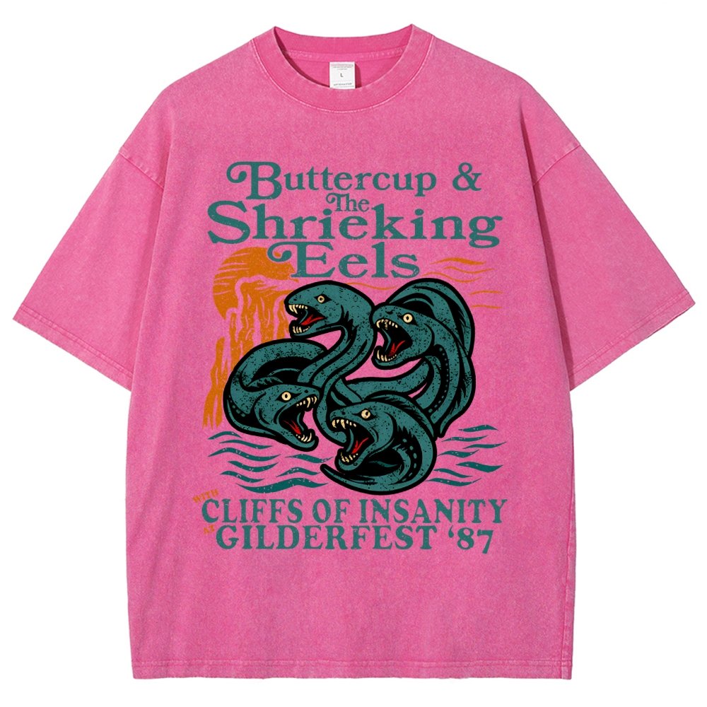 Buttercup & the Shrieking Eels at Harmonyfest Vintage Distressed T-shirt