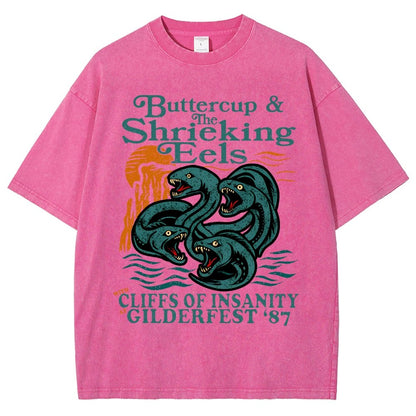 Buttercup & the Shrieking Eels at Harmonyfest Vintage Distressed T-shirt