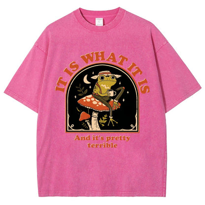 It Is What It Is And It's Pretty Terrible Vintage Distressed T-shirt