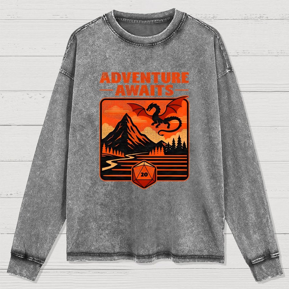 RPG Vintage Adventure Dragon Washed Long Sleeve Tee