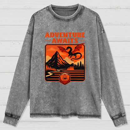 RPG Vintage Adventure Dragon Washed Long Sleeve Tee
