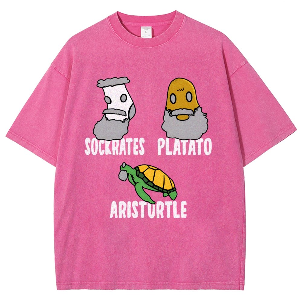 Sockrates Platato Aristurtle Vintage Distressed T-shirt