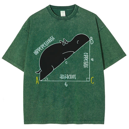 Interesting Math Teacher Math Lover Math Geek Vintage Distressed T-shirt