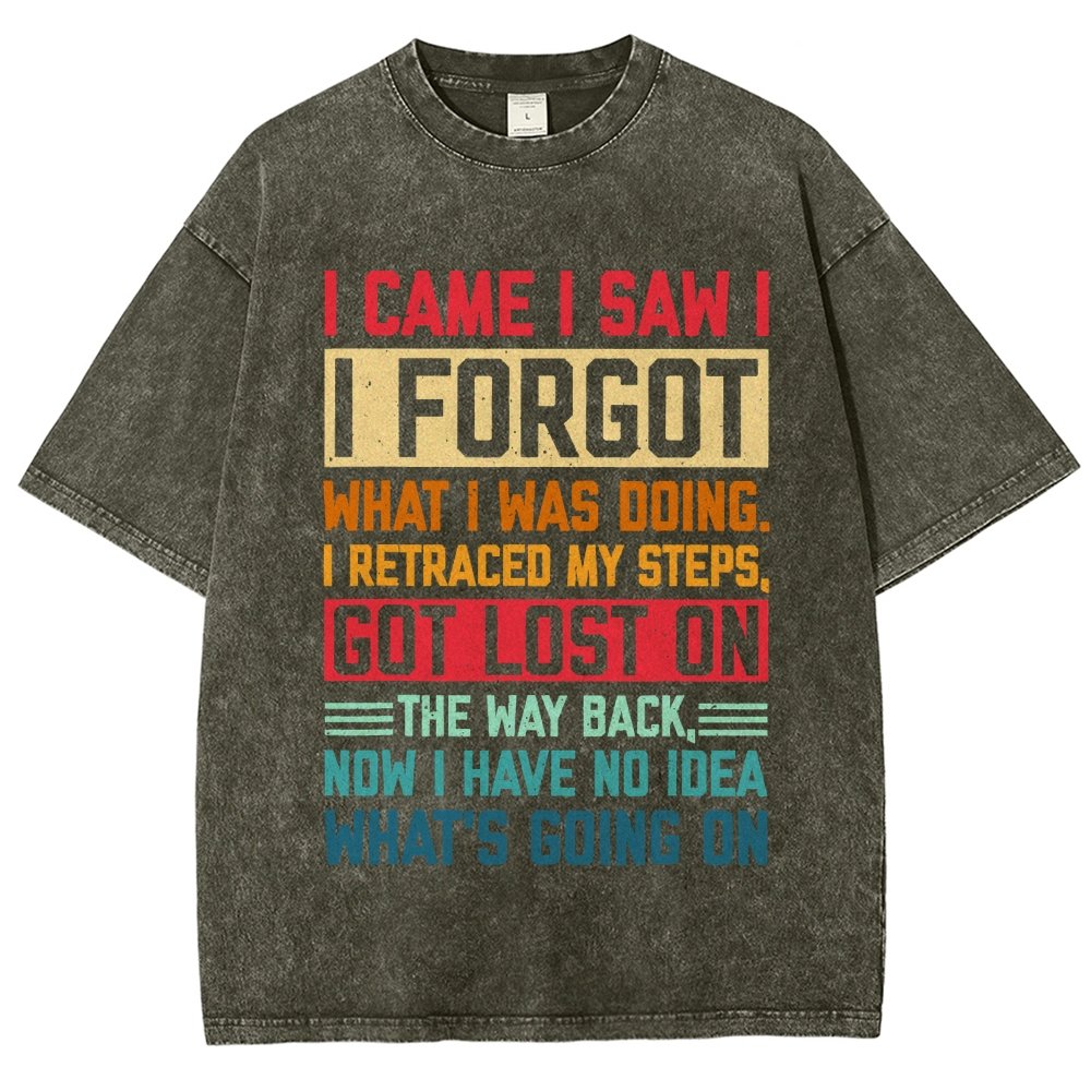 I Came I Saw I Forgot What I Was Doing Sarcastic Vintage Distressed T-shirt