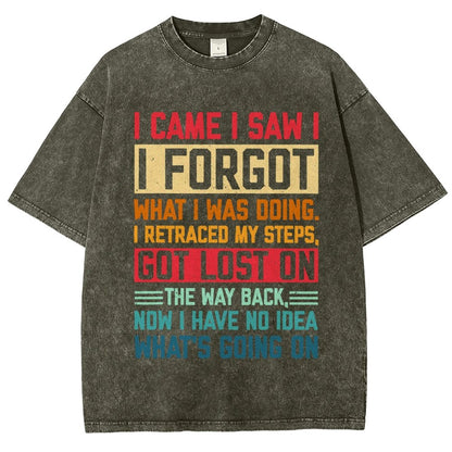 I Came I Saw I Forgot What I Was Doing Sarcastic Vintage Distressed T-shirt