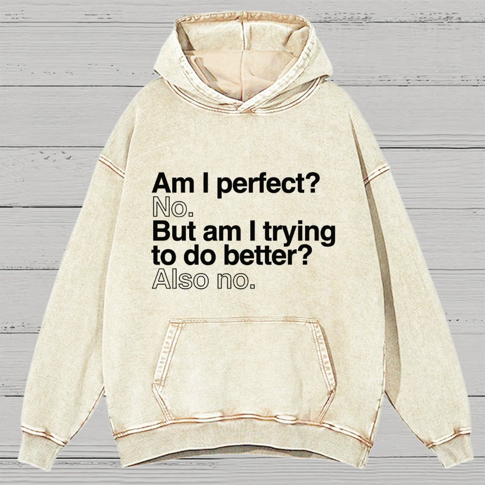 Am I Perfect No Vintage Distressed Hoodie