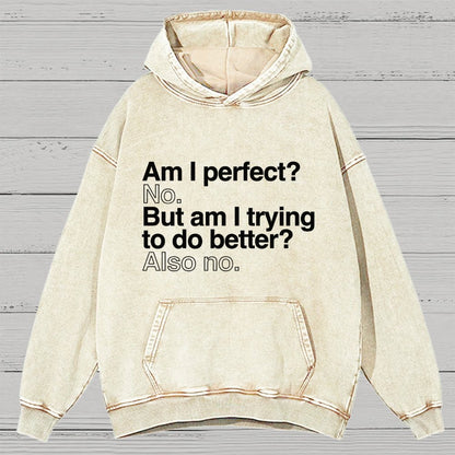 Am I Perfect No Vintage Distressed Hoodie