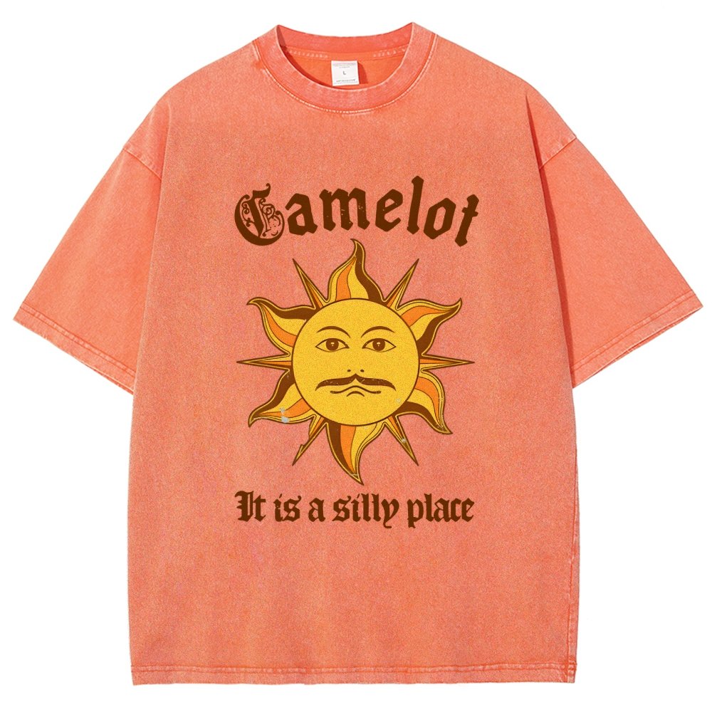 A Silly Place Vintage Distressed T-shirt