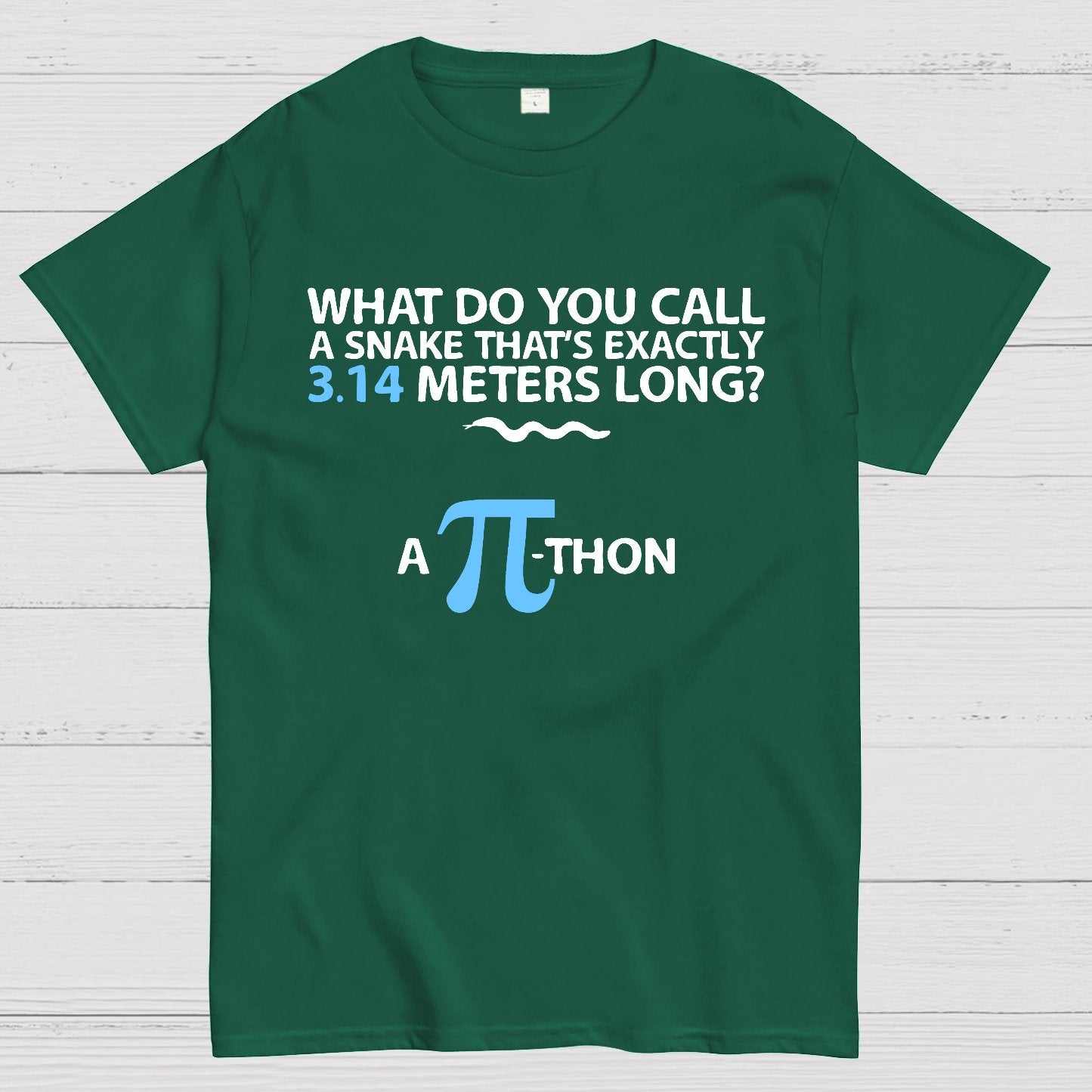 Funny Math Humor Snake Reptile 3.14 Pi Students Kids Geek T-Shirt