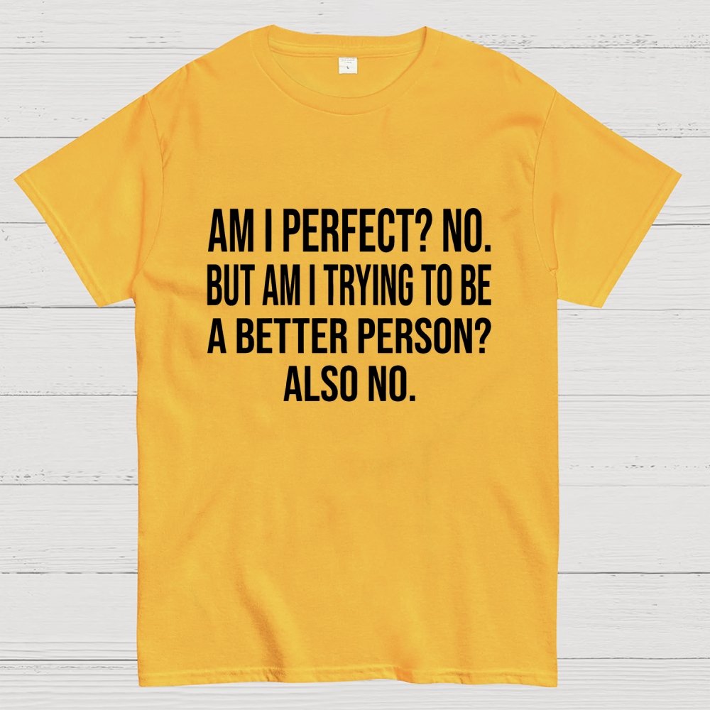 Am I Perfect No But Am I Trying To Be A Better Person Also No Geek T-Shirt