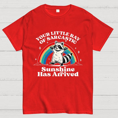 Your Little Ray of Sarcastic Sunshine Has Arrived Geek T-Shirt