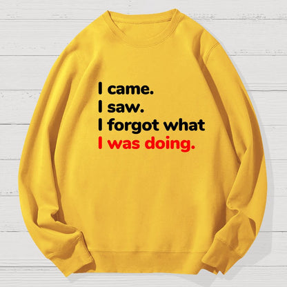 I Came. I Saw. I Forgot What I Was Doing Geek Cotton Sweatshirt