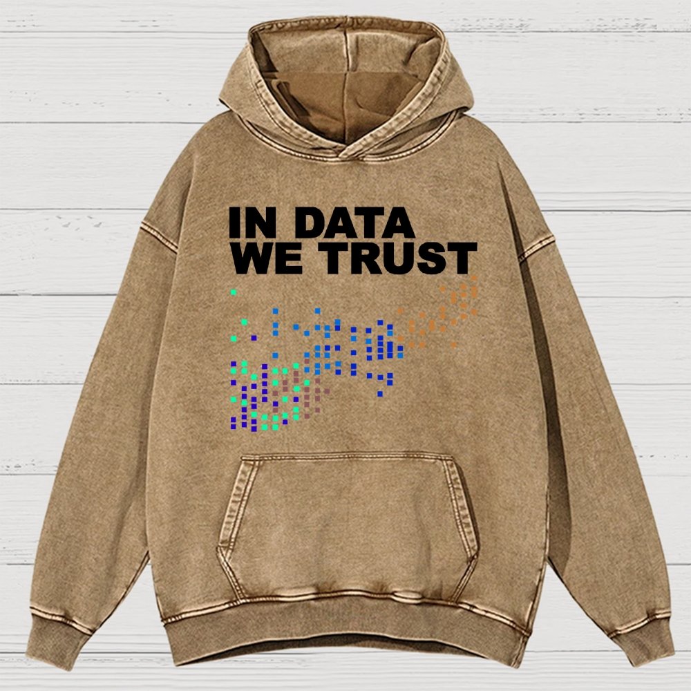 In Big Data We Trust Vintage Distressed Hoodie
