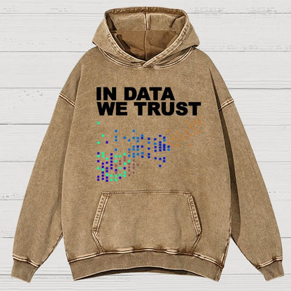 In Big Data We Trust Vintage Distressed Hoodie
