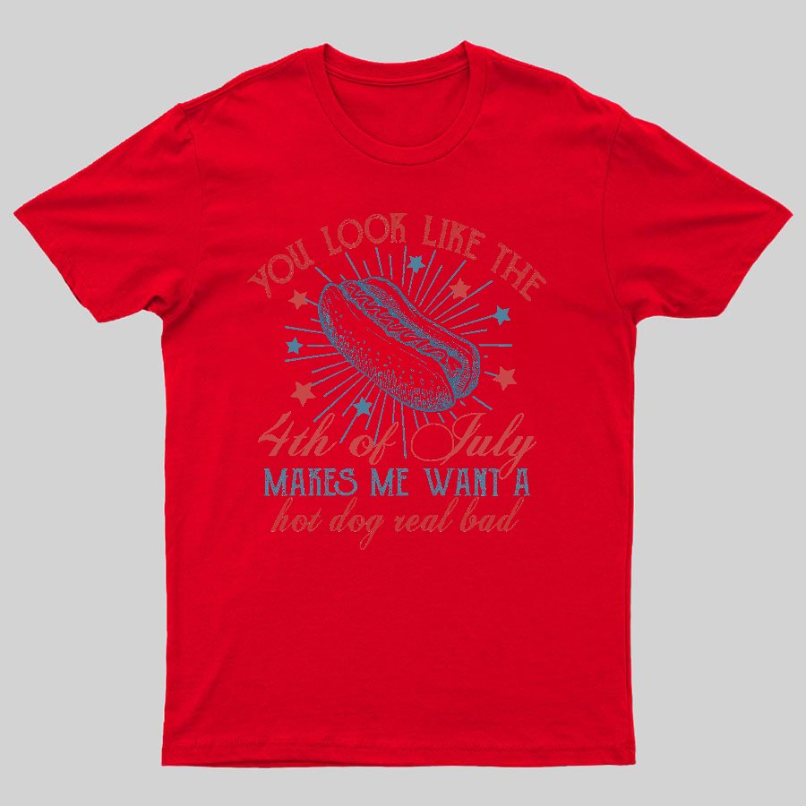 You Look Like the 4th of July Geeky T-Shirt