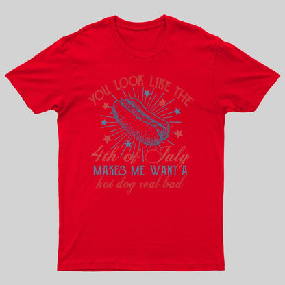 You Look Like the 4th of July Geeky T-Shirt