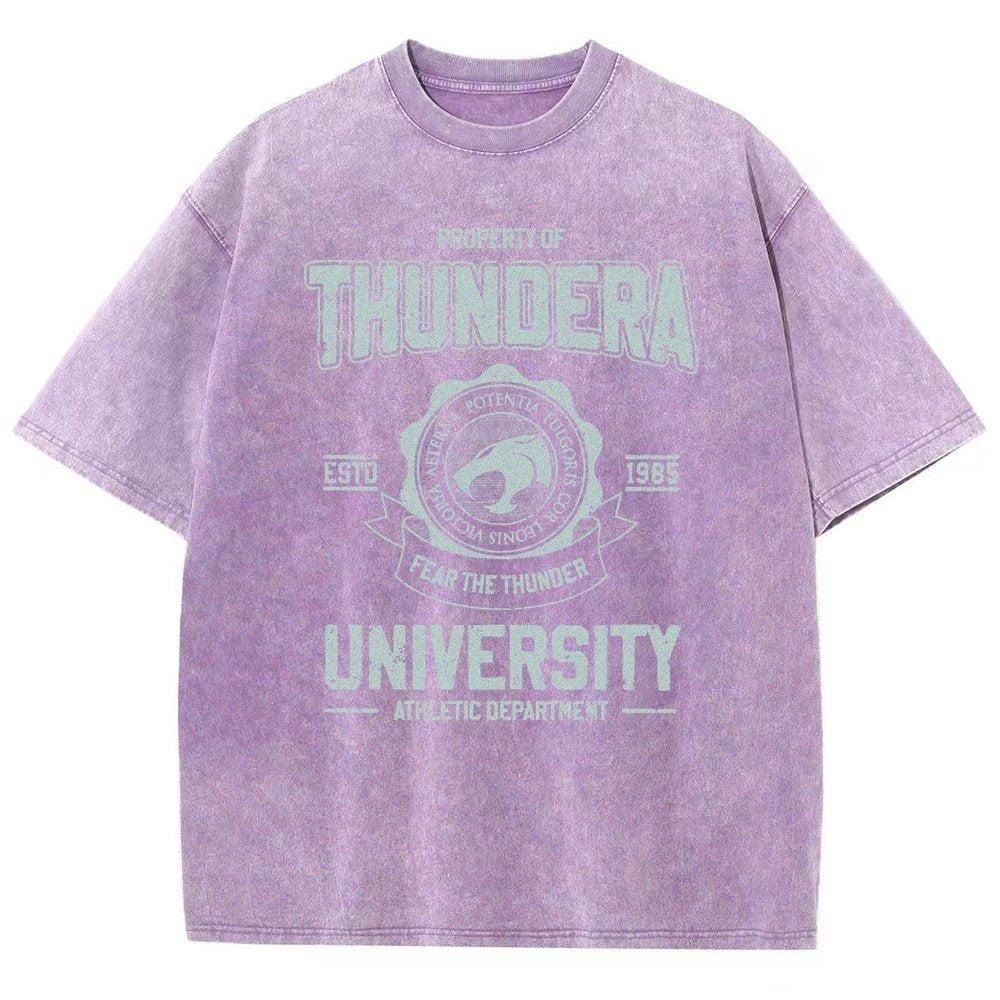 Mystic Valley University Vintage Distressed T-shirt